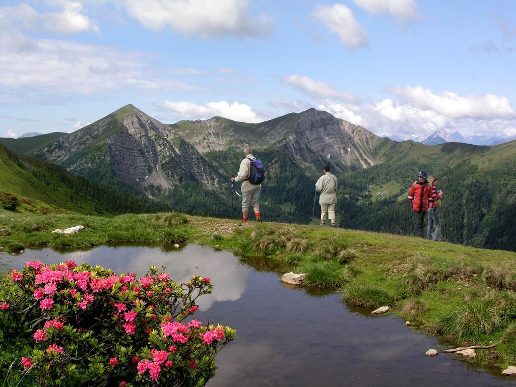 Ferienhaeuser Familie Hofer Stockenboi Weissensee 外观 照片
